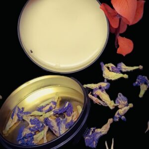 Blue Butterfly La 'cream